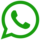 Icona WhatsApp